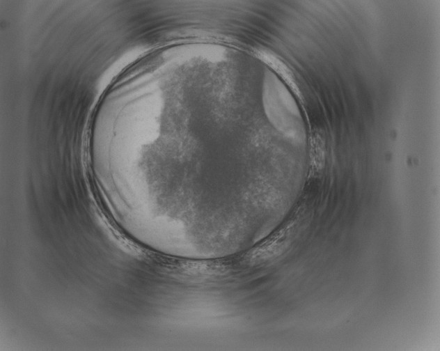 X0000087371098200705181210