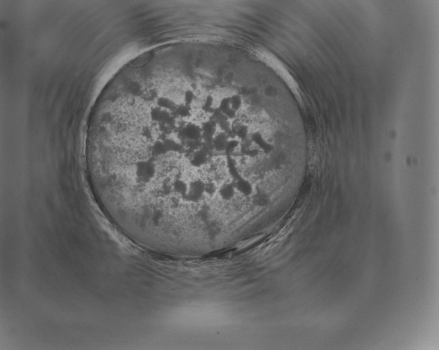 X0000087371099200705181210