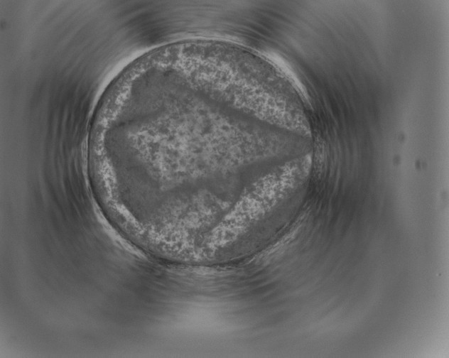 X0000087371100200705181210