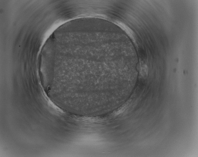 X0000087371102200705181210