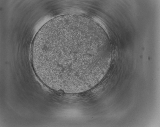 X0000087371103200705181210