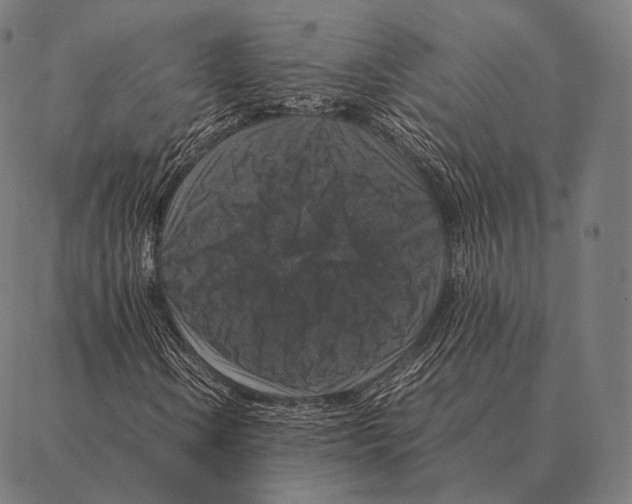 X0000087371106200705181209