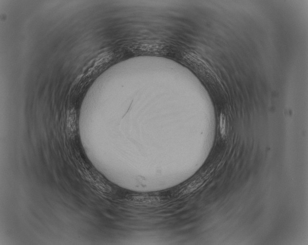 X0000087371107200705181209