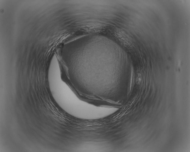 X0000087371108200705181209