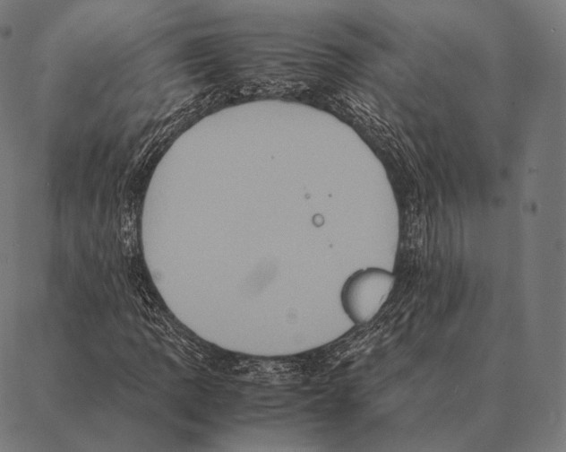 X0000087371109200705181209