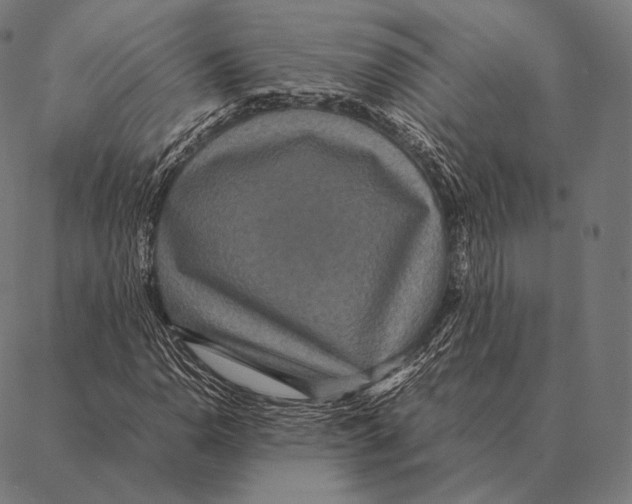 X0000087371110200705181209