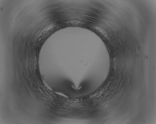 X0000087371111200705181209