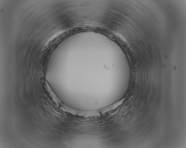 X0000087371112200705181209