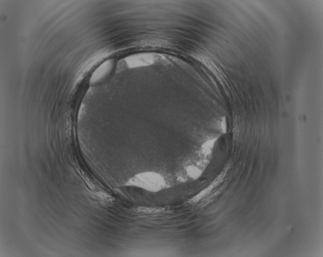 X0000087371115200705181210