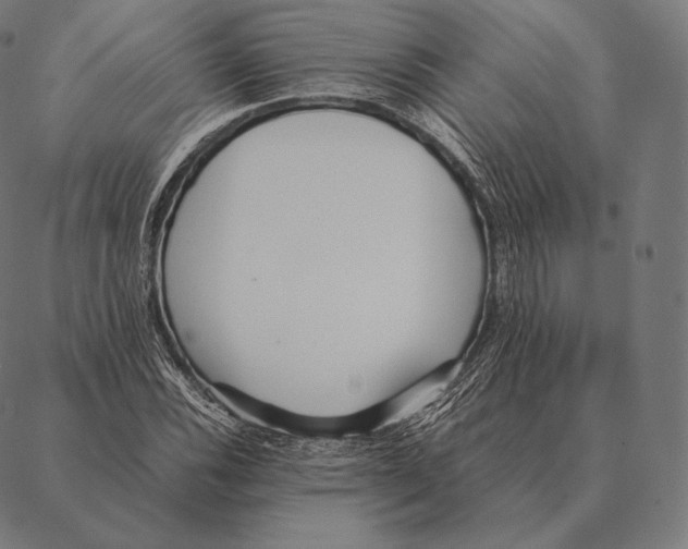 X0000087371116200705181210