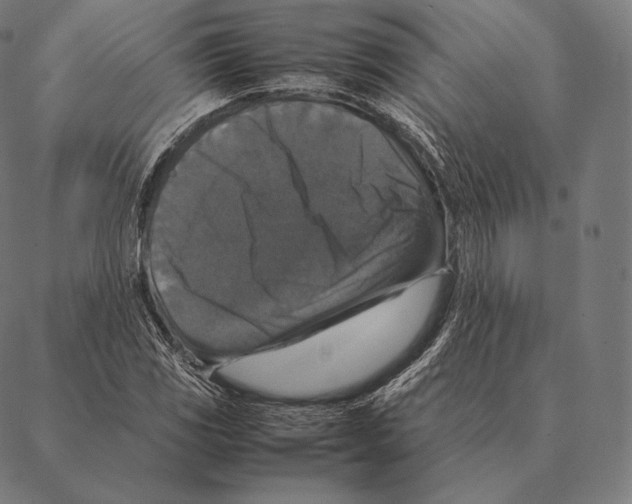 X0000087371117200705181210