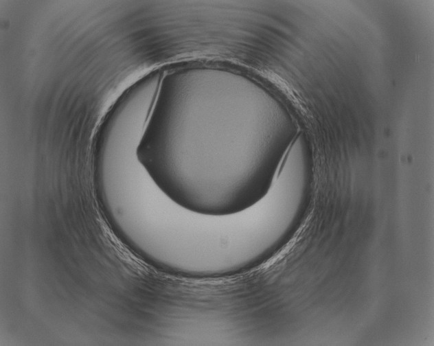 X0000087371118200705181210