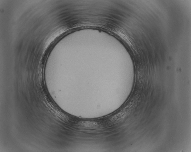 X0000087371119200705181210