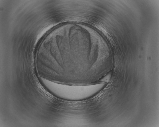 X0000087371120200705181210