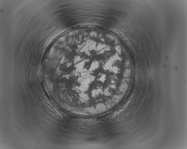 X0000087371121200705181210