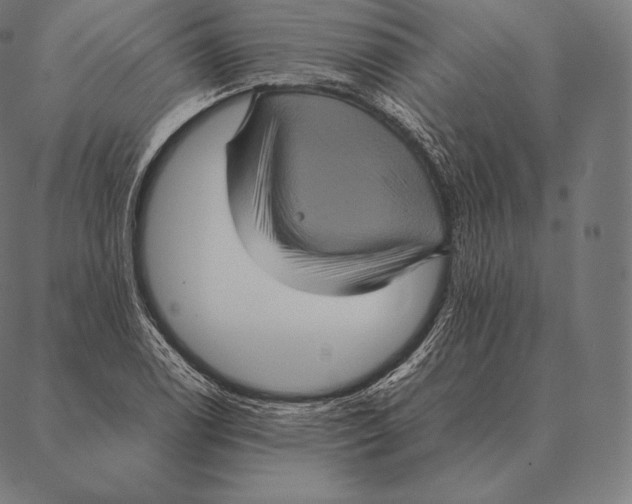 X0000087371122200705181210