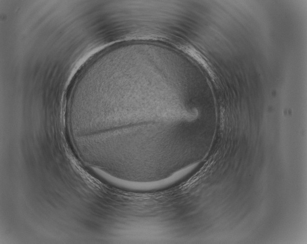 X0000087371124200705181210