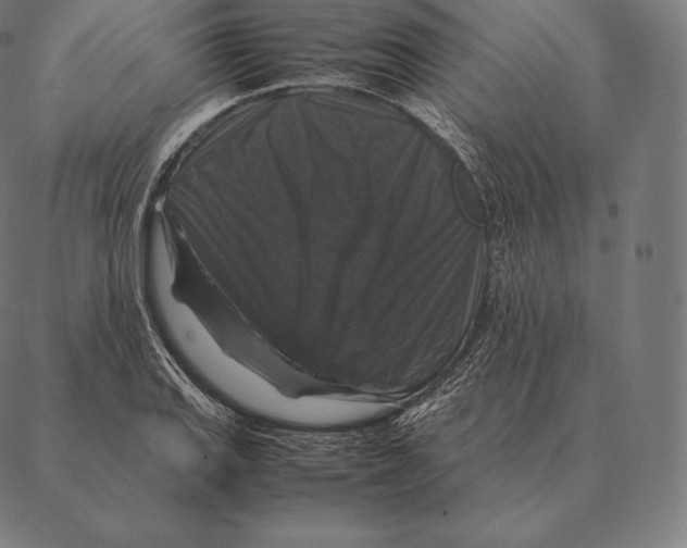 X0000087371127200705181210