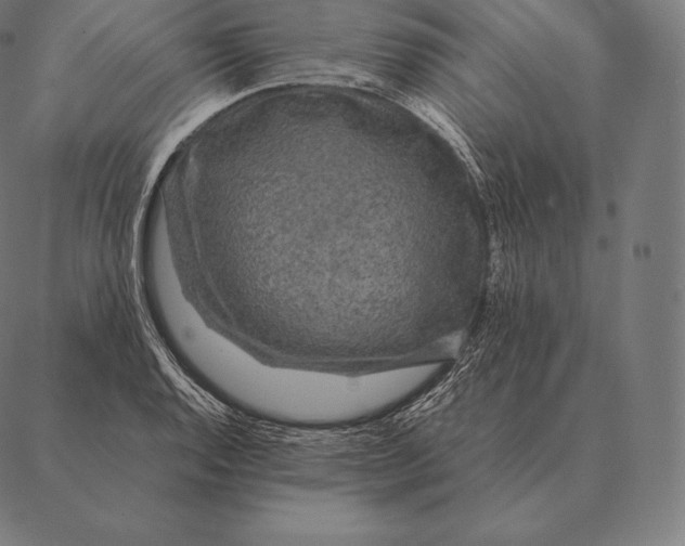 X0000087371128200705181210