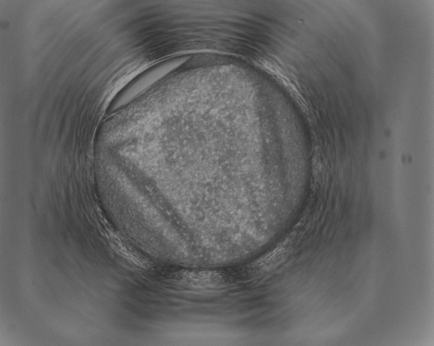 X0000087371129200705181210