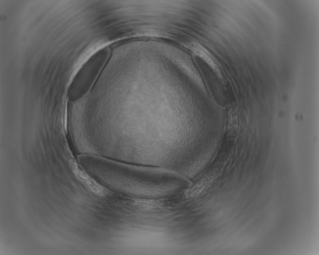 X0000087371132200705181210