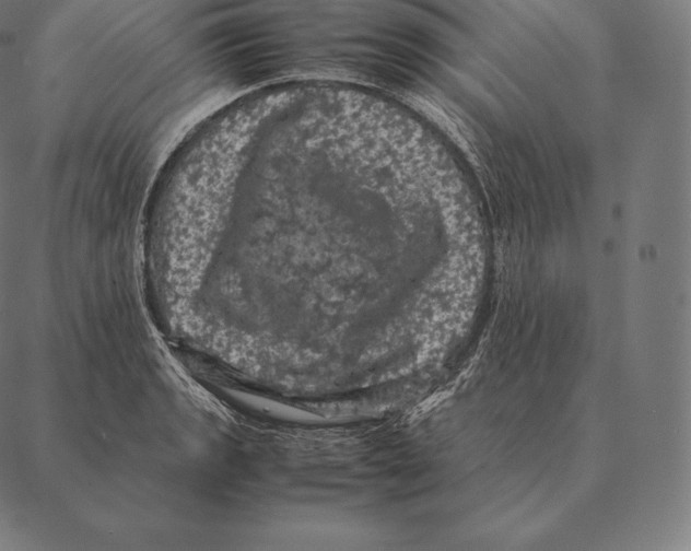 X0000087371133200705181210