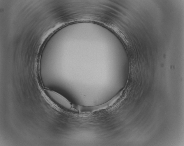 X0000087371134200705181210