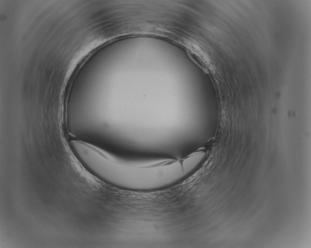 X0000087371136200705181210