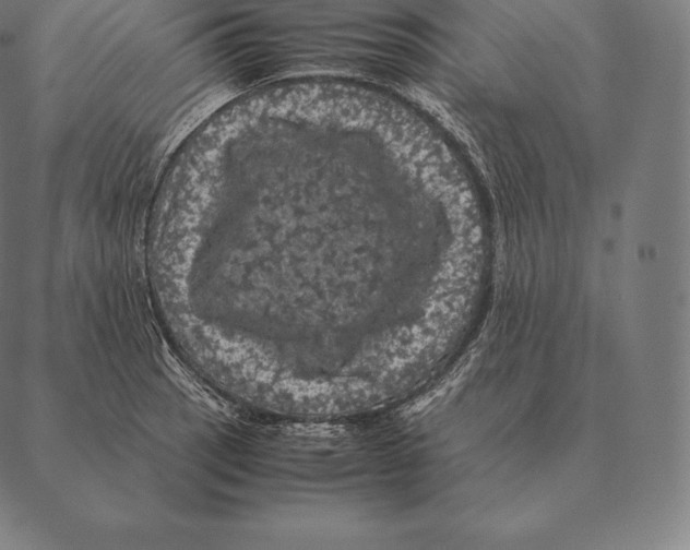 X0000087371137200705181210