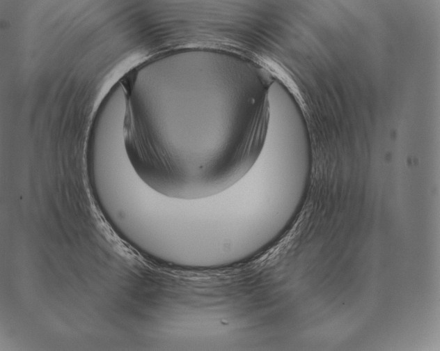 X0000087371138200705181210