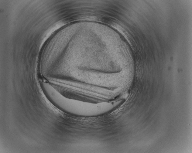 X0000087371139200705181210