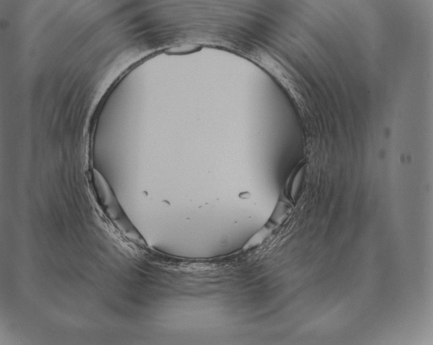 X0000087371140200705181210