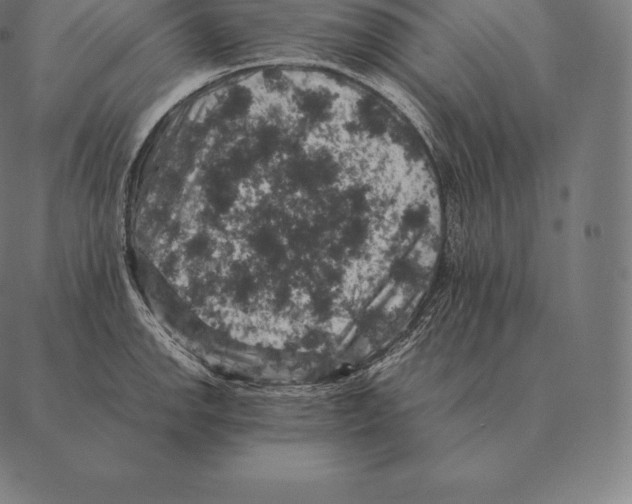 X0000087371142200705181210