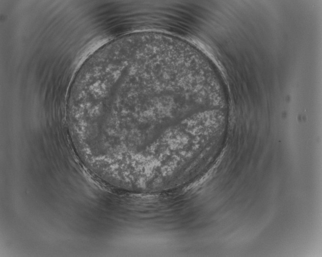 X0000087371145200705181210