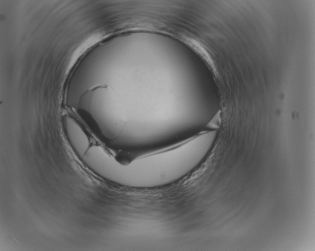 X0000087371146200705181210