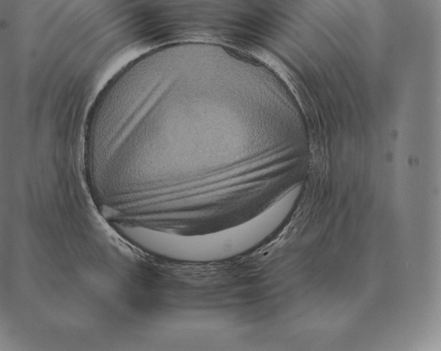 X0000087371147200705181210