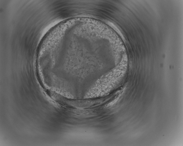 X0000087371149200705181210