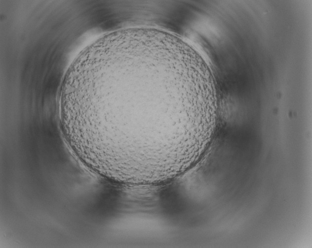 X0000087371150200705181210