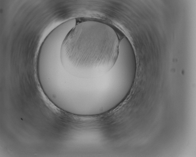 X0000087371152200705181210