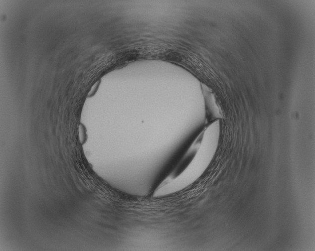 X0000087371153200705181209