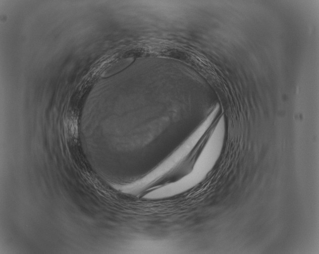 X0000087371155200705181209