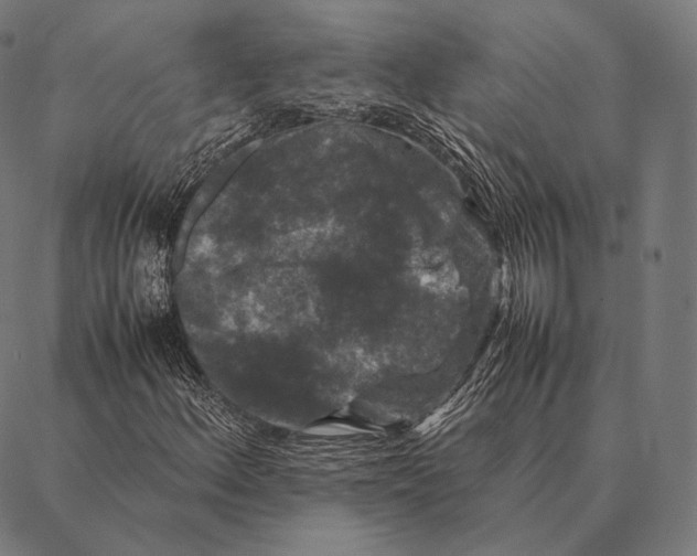 X0000087371156200705181209