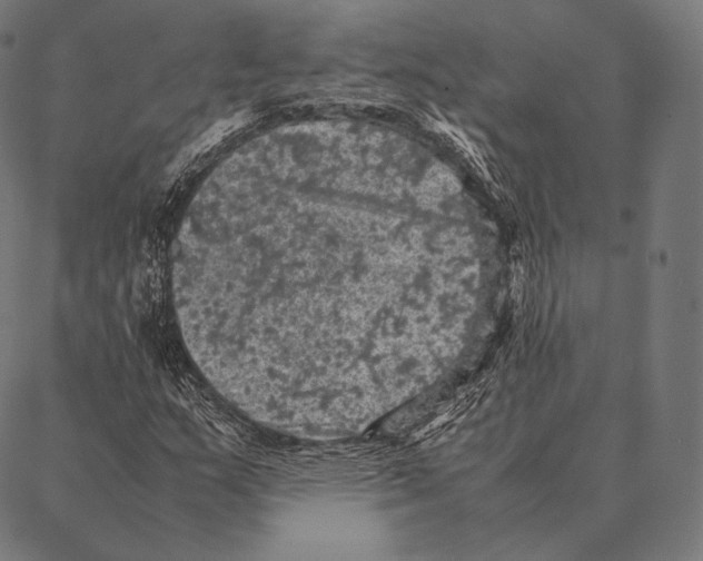 X0000087371159200705181209