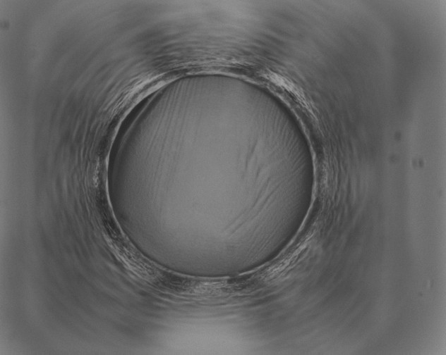 X0000087371161200705181209