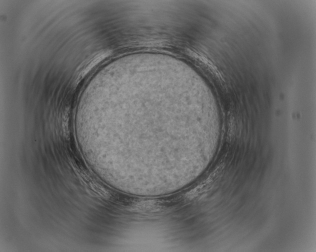 X0000087371162200705181209