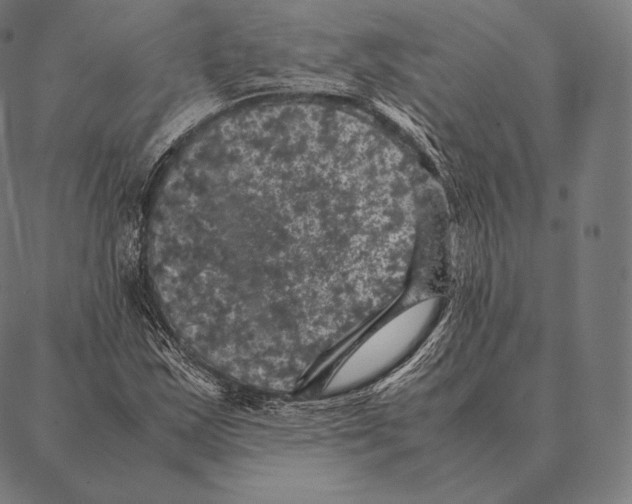 X0000087371163200705181209