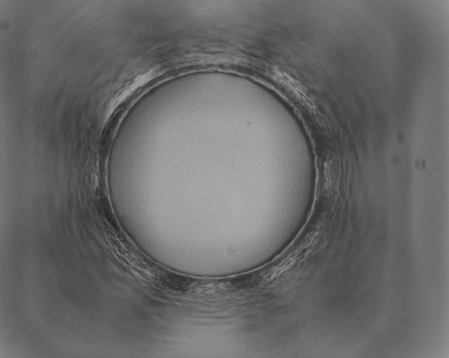 X0000087371165200705181209