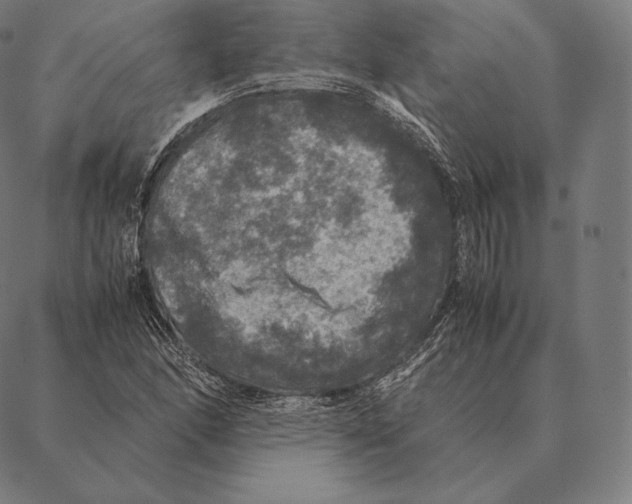 X0000087371166200705181209