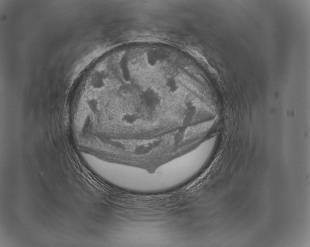 X0000087371167200705181209