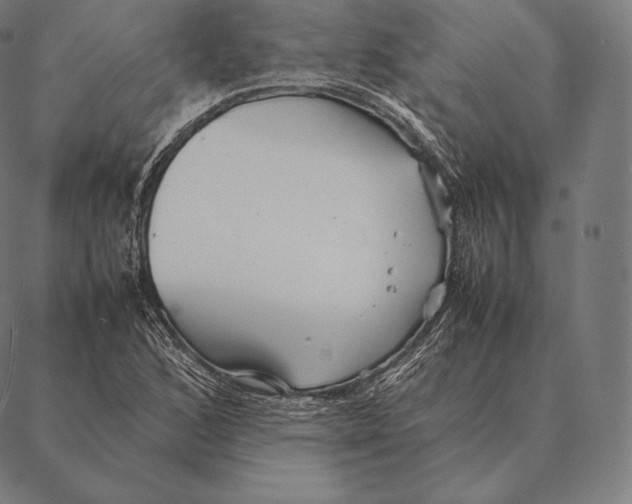 X0000087371168200705181209